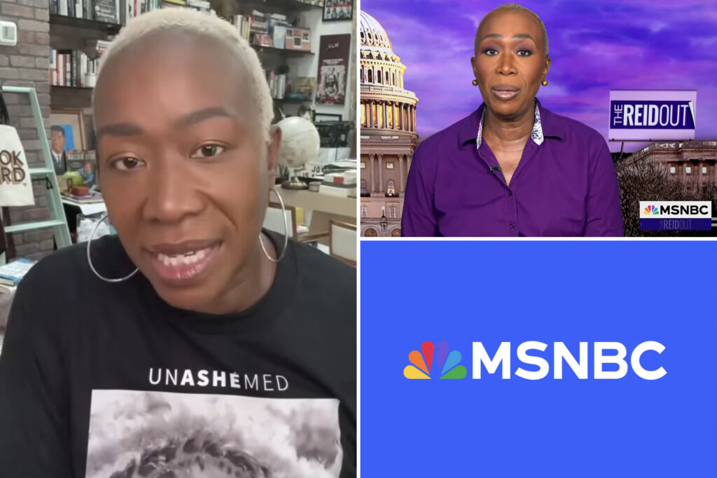 Joy Reid claims that the "horrified" MSNBC heads pressed her to stop social media publications before being fired
